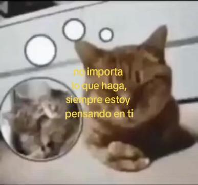 @cris ❄️