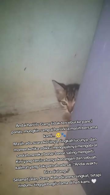 @Lina herlina