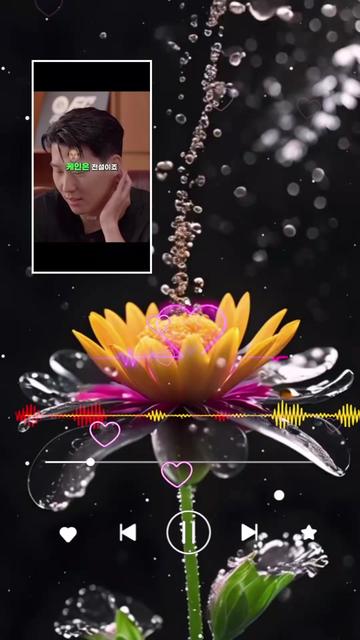 @손세이셔널ks