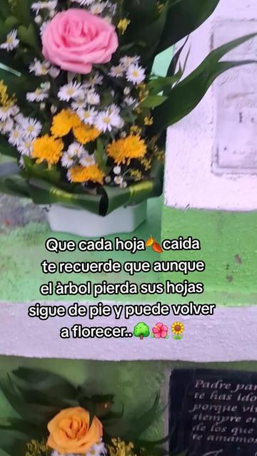 @🦋14♡🦋🍃
