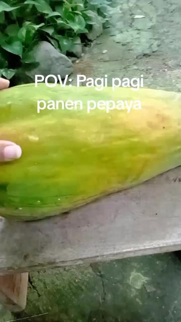 @Mbak Gindud