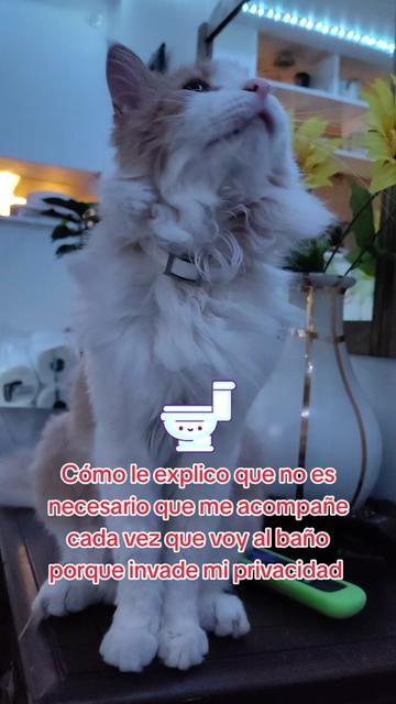 @Charlotte🐕🦺🐈🐕🦬🐐🐎🐄🐒