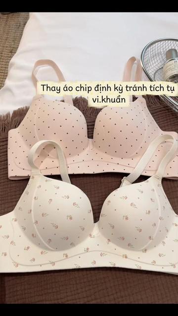 @Tuệ Lâm
