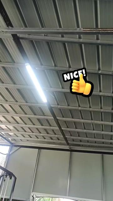 @lyn lyn