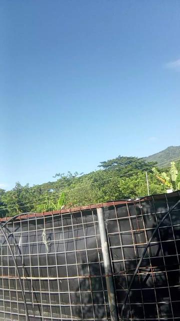 @La cubana Oficial