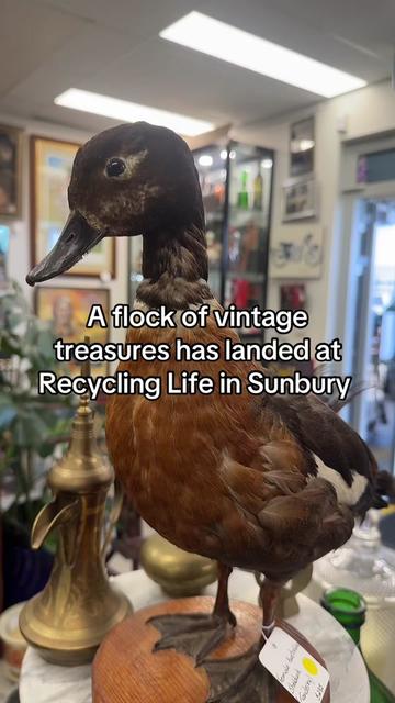 @Recycling Life Sunbury