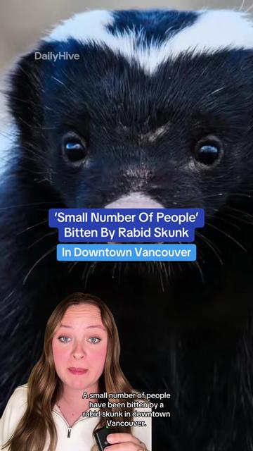 @dailyhivevancouver