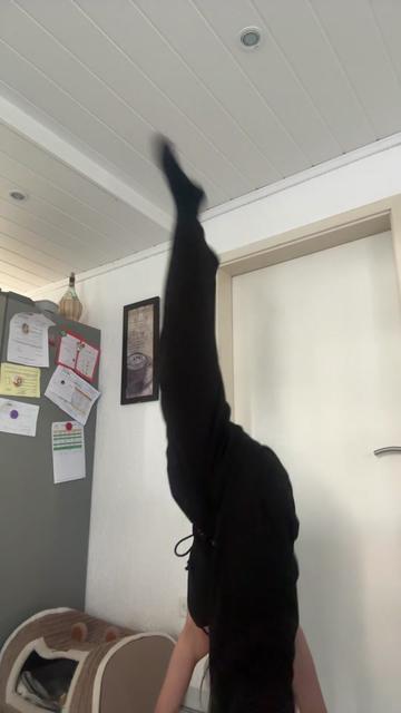 @🧸ྀི