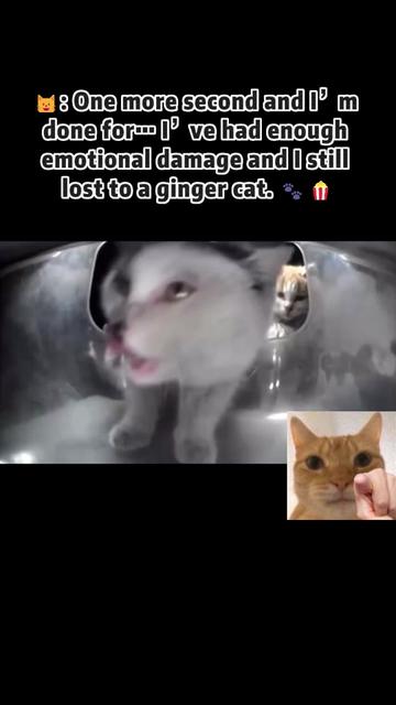 @purrrr