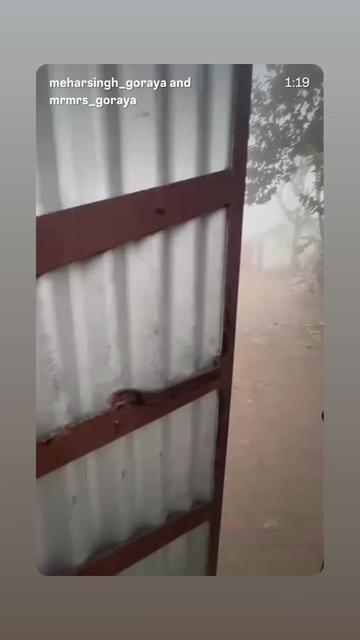@maan tanveer