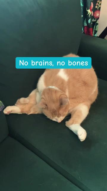 @Catd00d 🇬🇱
