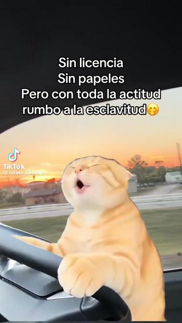 @johannagonzalez595