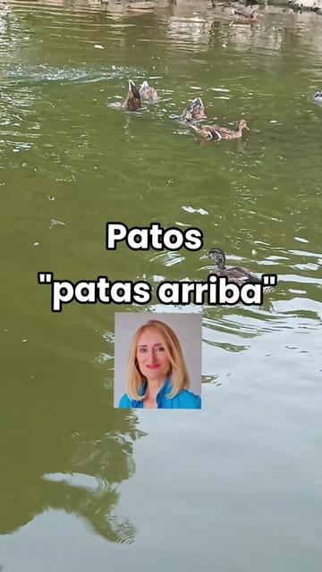 @Tu profesora de Lengua