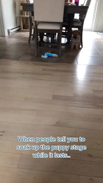 @Jessica