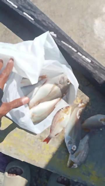 @cahyo motor ( fishing_story)