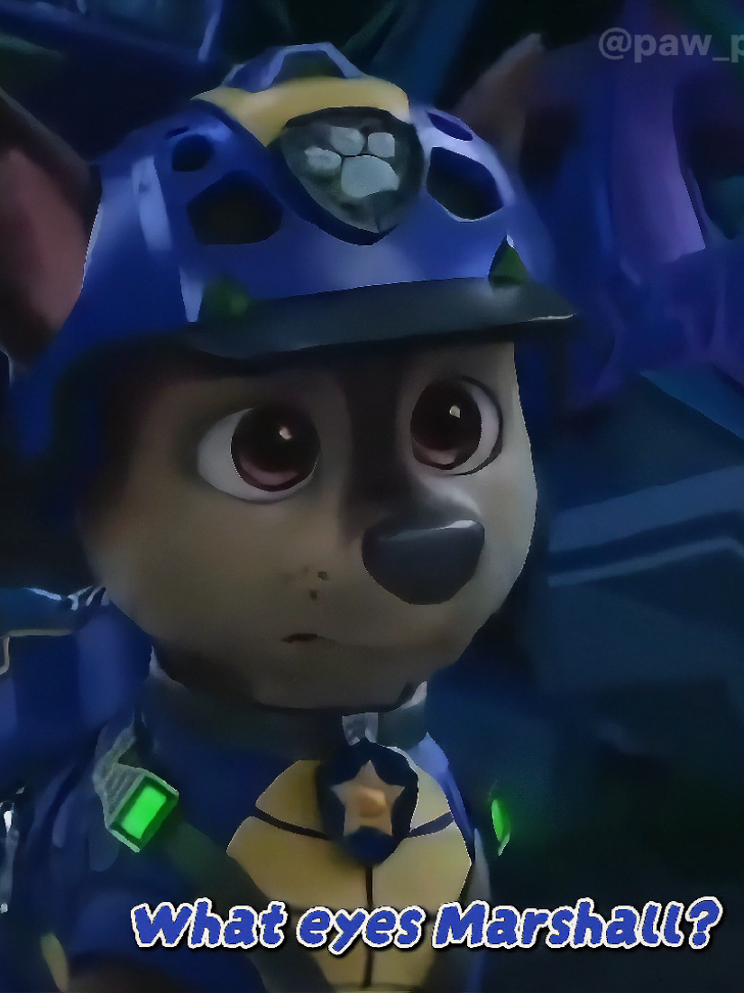 @Jester 🎭 (Paw Patrol No1 Fan)