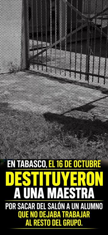 @El Maestro Román 👨🏫