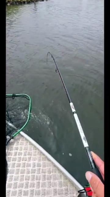 @Iron Claw_Fishing