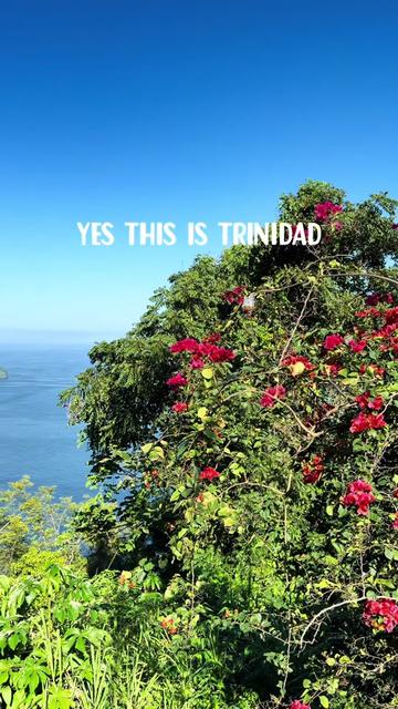 @Trini Surfer™️🇹🇹