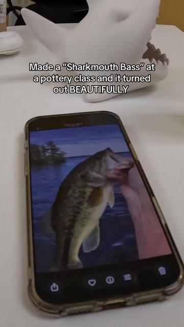 @BRVDDY BASSIN