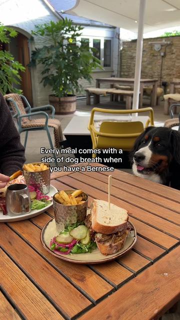 @Annie & Sansa