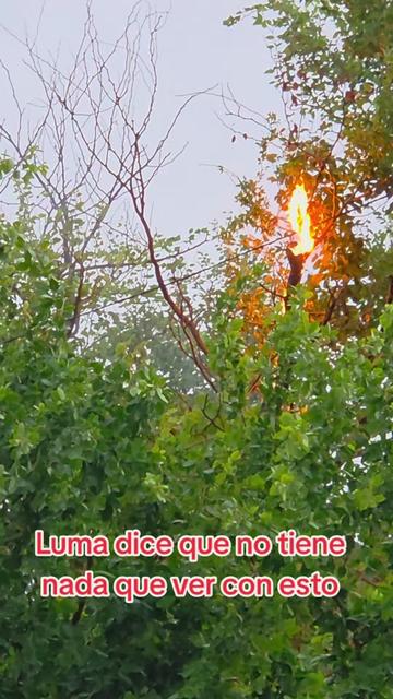 @ulises r aponte
