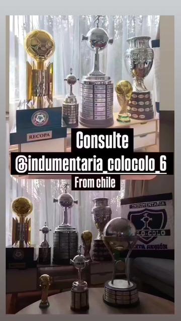 @indumentaria_colocolo_6