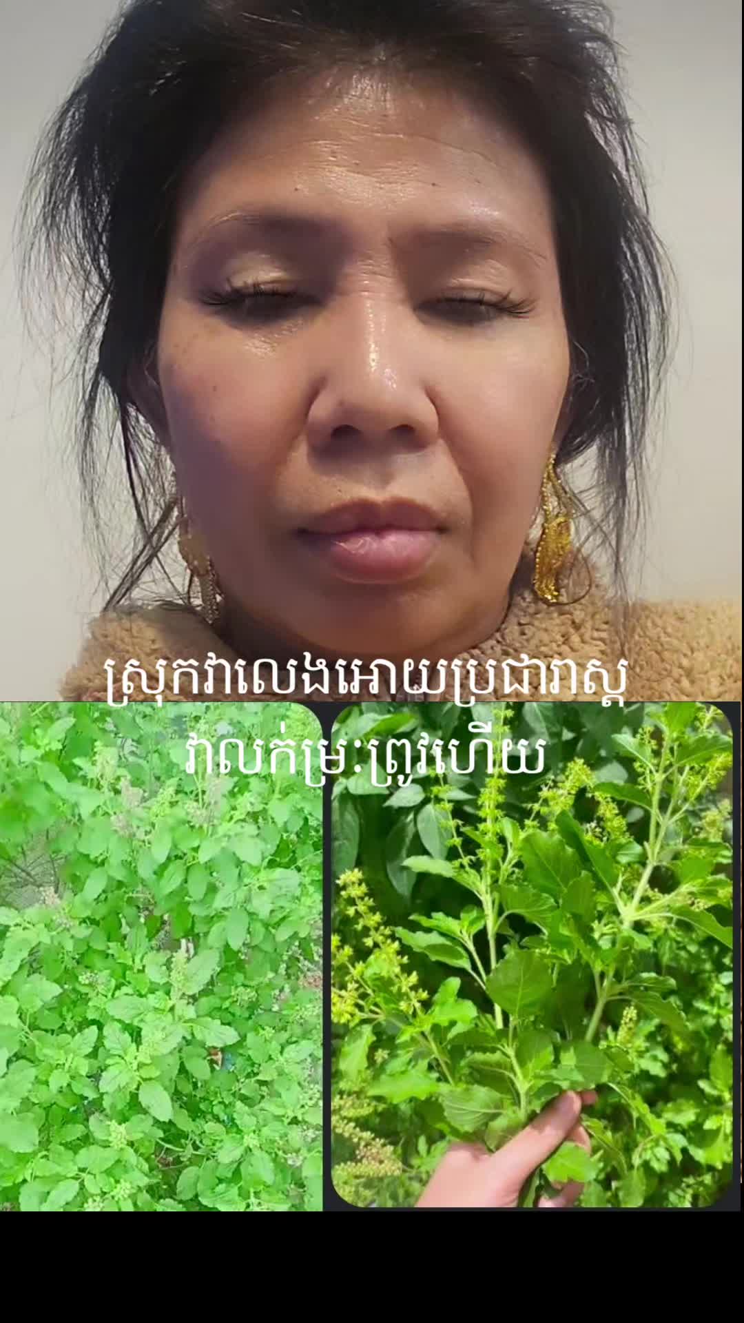 @Chantheary( ចន្ទ័ធារឹ ស៊ុយអែត)