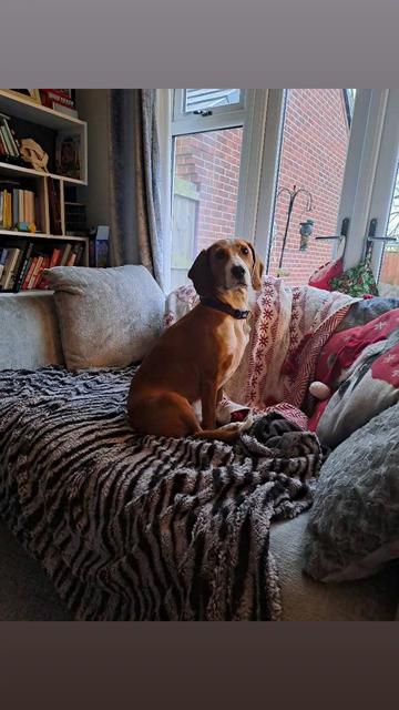 @willow & Buddy xx