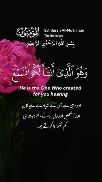 @Halima
