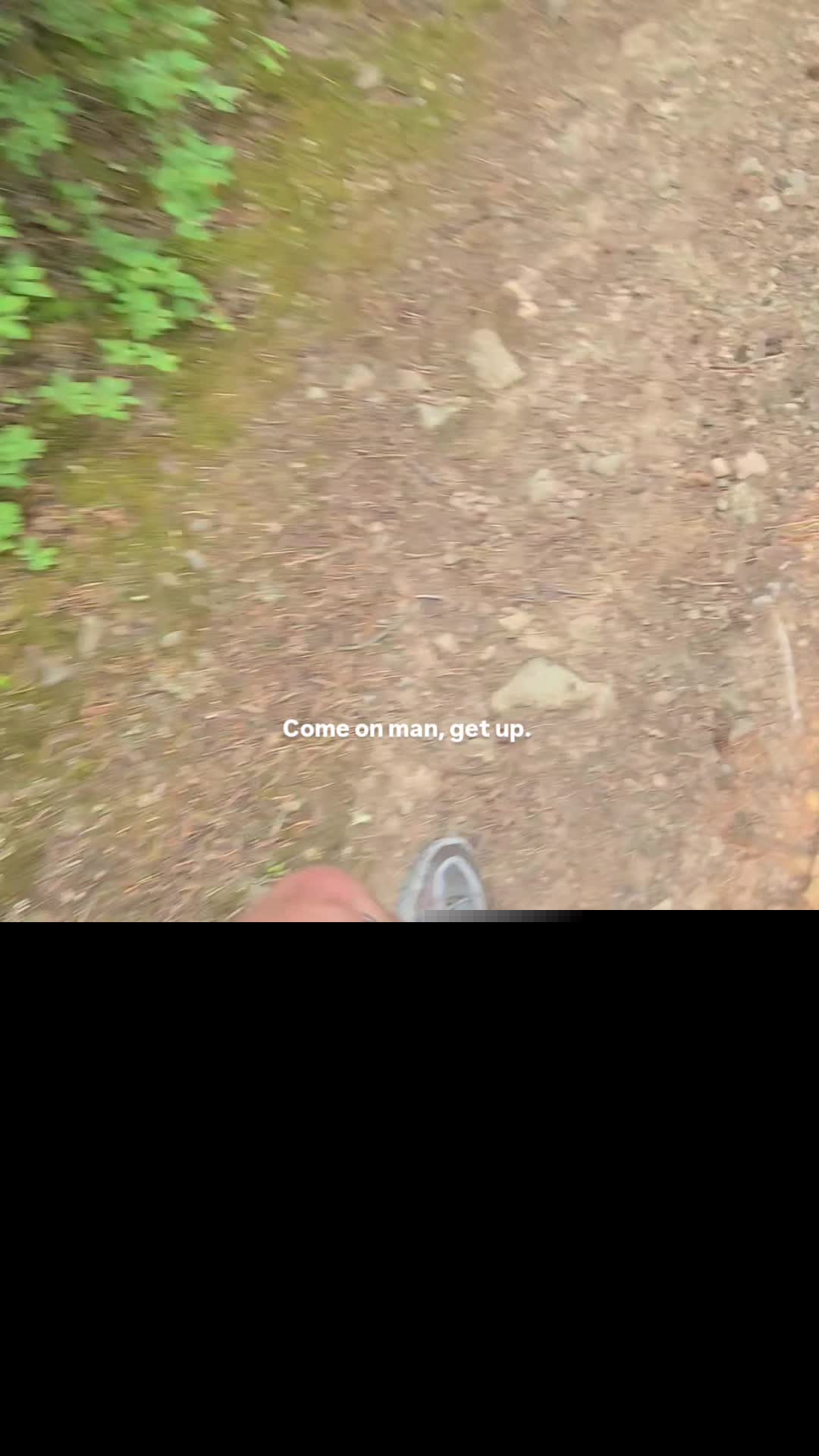 @Banff Trail Running & Wildlife