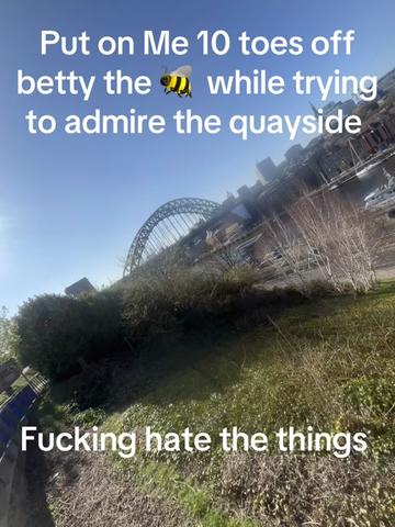 @DB
