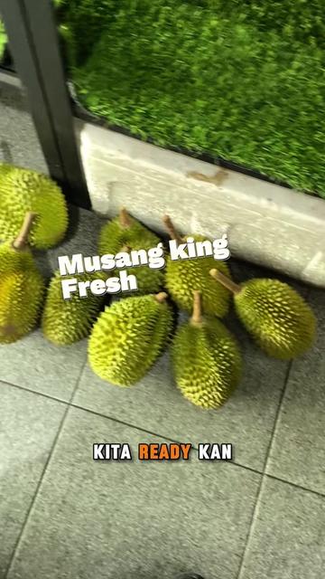 @CICIP DURIAN