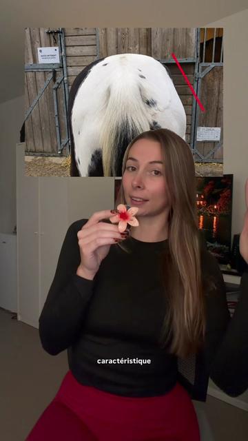 @Animae Ostéo