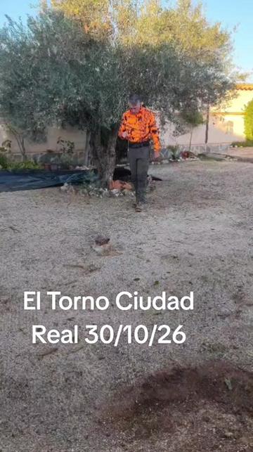 @Zahori Blas Moreno