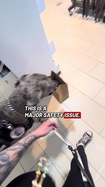 @lex 🐺⛓️