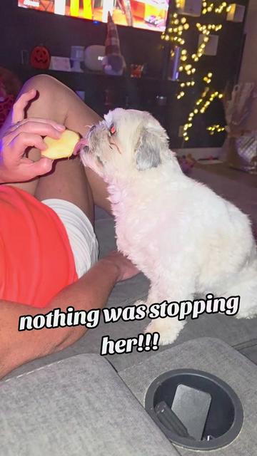 @Kara