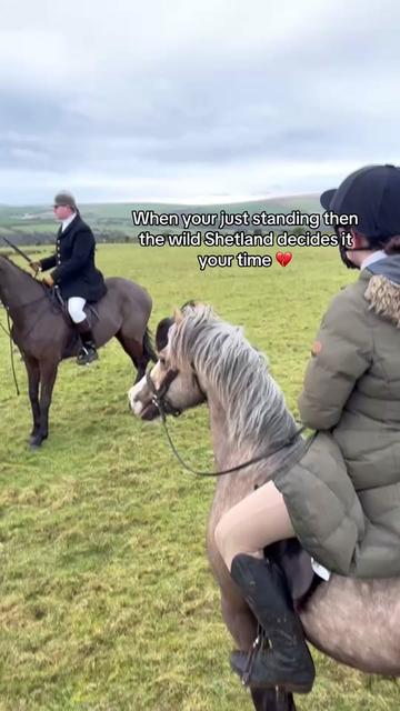 @amelia_showjumping2