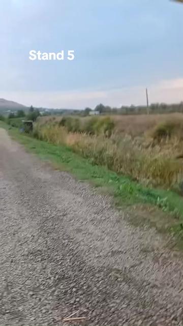 @Balta Turcoaia