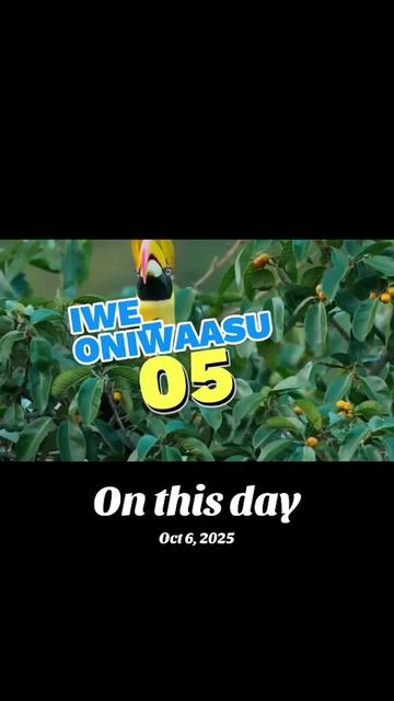 @josh_eneji