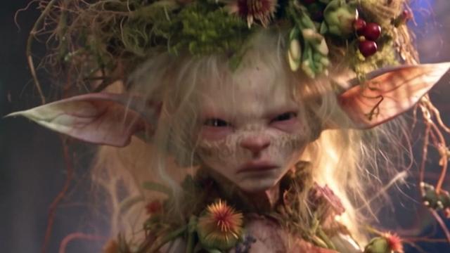 @Fae Nest