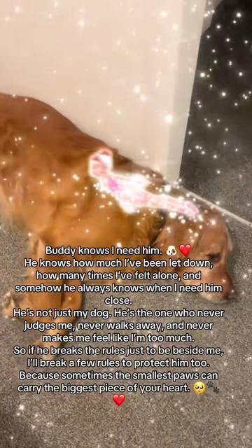 @Happy buddy