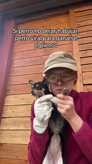 @miree_music