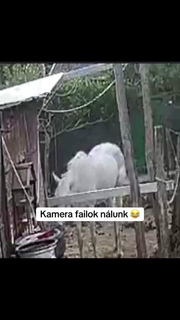 @Emirideer
