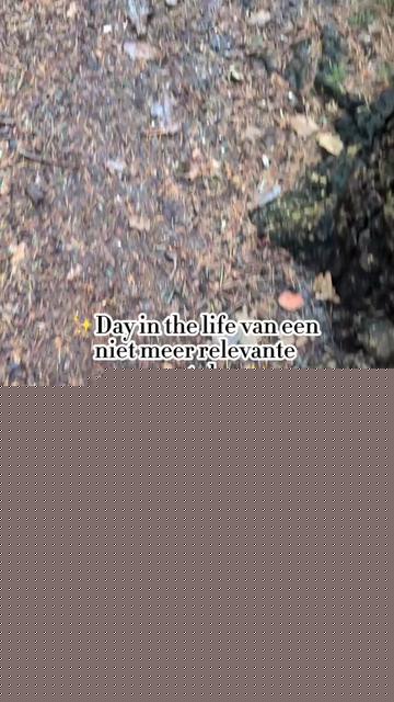 @Joost Bouhof