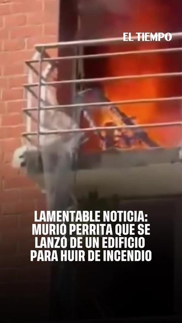 @EL TIEMPO