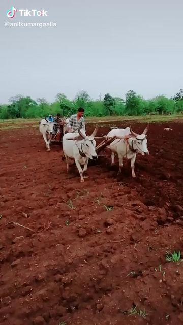 @Sai_Goalla1631