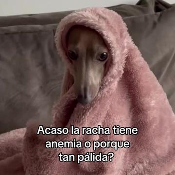 @saulburgosp
