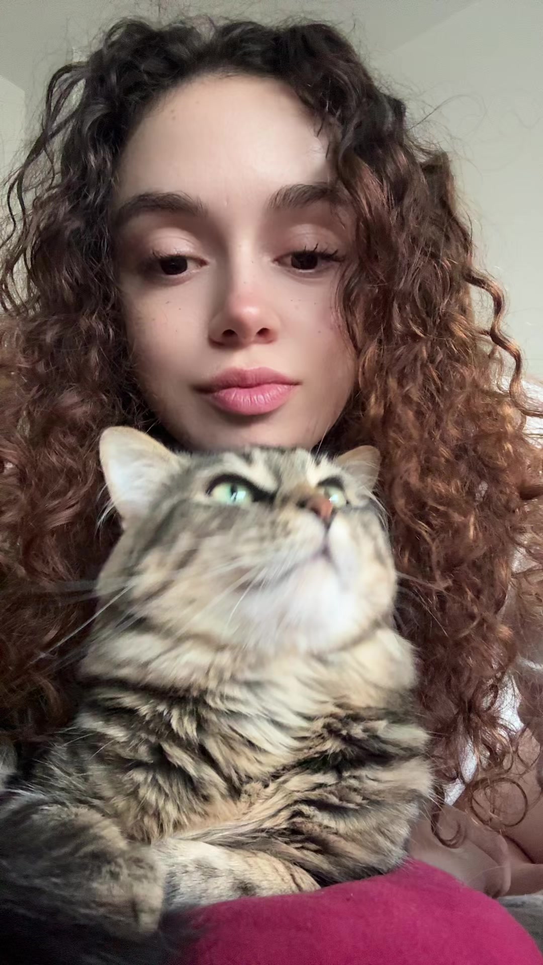 @Samiaoz