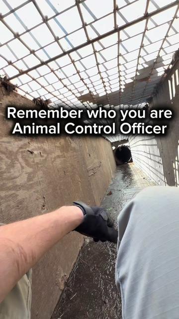 @AnimalWelfareGuy